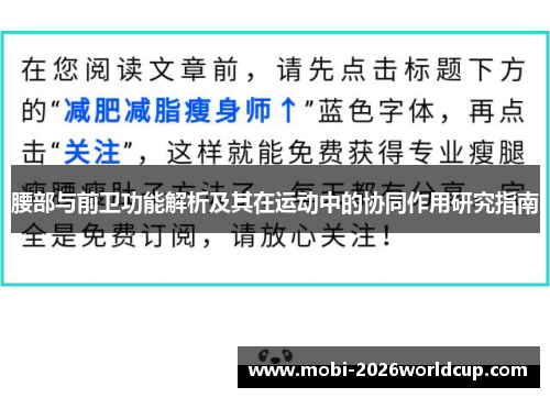 腰部与前卫功能解析及其在运动中的协同作用研究指南 腰部与前卫功能解析及其在运动中的协同作用研究指南