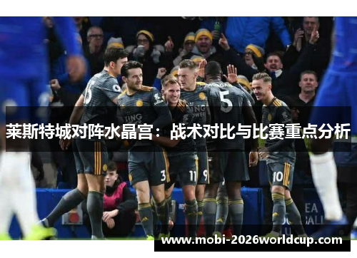 莱斯特城对阵水晶宫:战术对比与比赛重点分析 莱斯特城对阵水晶宫:战术对比与比赛重点分析