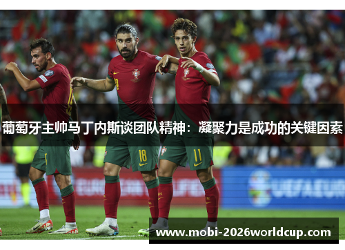葡萄牙主帅马丁内斯谈团队精神:凝聚力是成功的关键因素 葡萄牙主帅马丁内斯谈团队精神:凝聚力是成功的关键因素