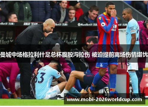 曼城中场格拉利什足总杯腹股沟拉伤 被迫提前离场伤情堪忧 曼城中场格拉利什足总杯腹股沟拉伤 被迫提前离场伤情堪忧