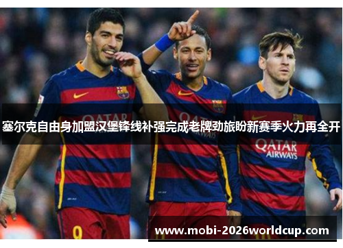 塞尔克自由身加盟汉堡锋线补强完成老牌劲旅盼新赛季火力再全开