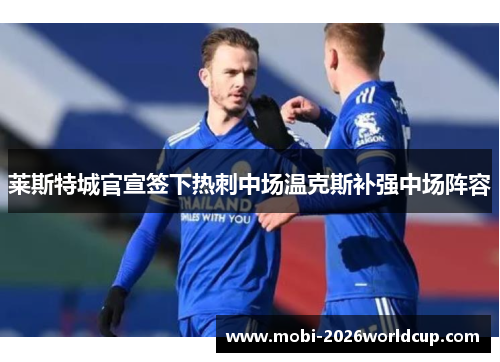 莱斯特城官宣签下热刺中场温克斯补强中场阵容