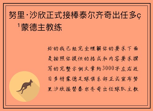 努里·沙欣正式接棒泰尔齐奇出任多特蒙德主教练